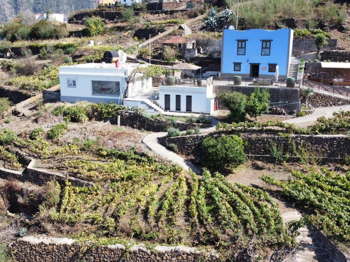 Ek Teide Finca El Milagro La Orotava Extérieur photo