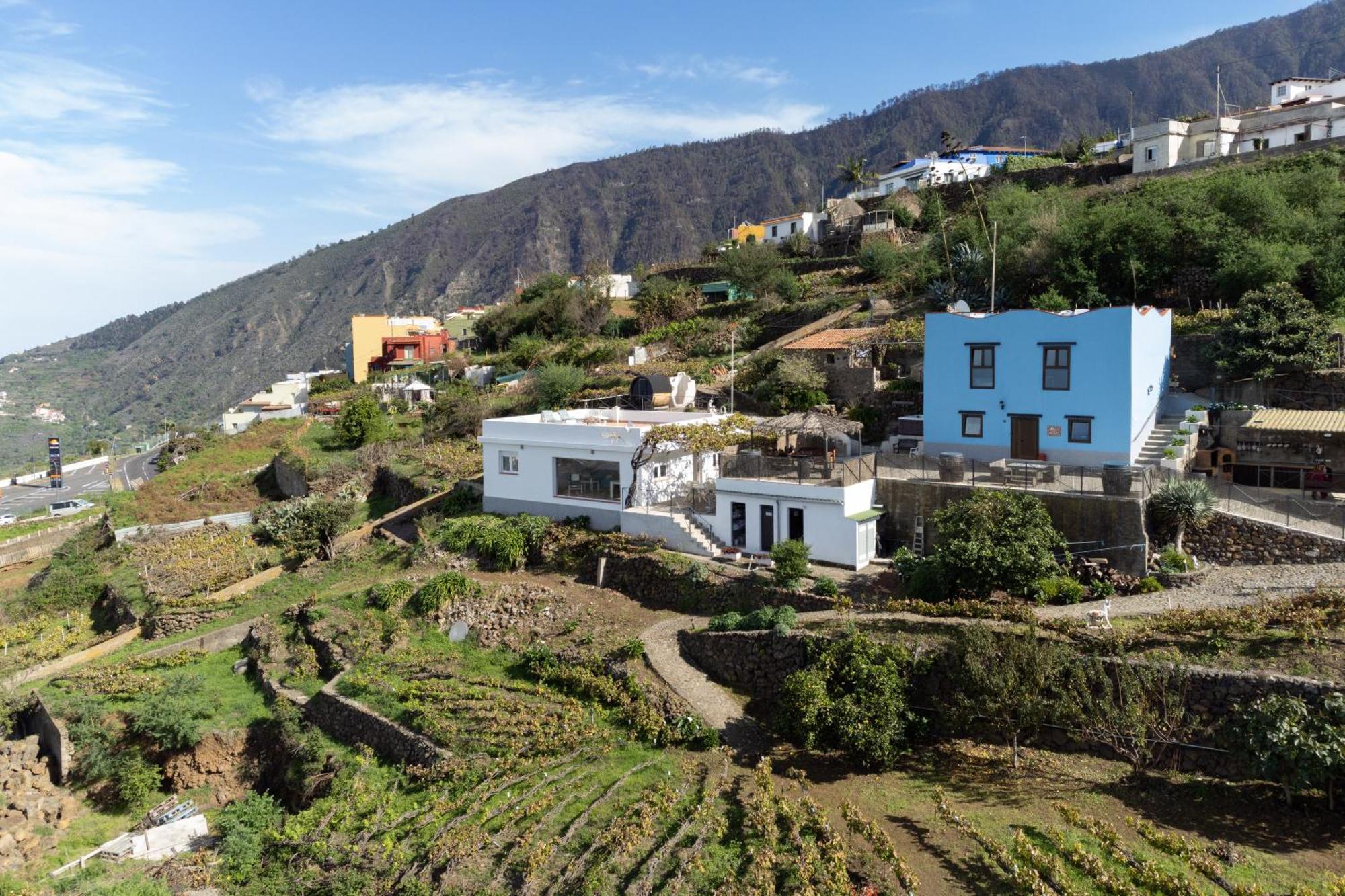Ek Teide Finca El Milagro La Orotava Extérieur photo